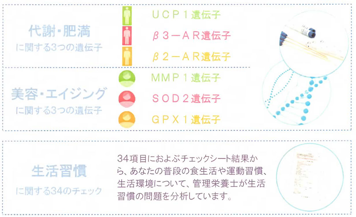 山口市エステ リンク 美容DNA分析予防サービスキャンペーントップ画像
