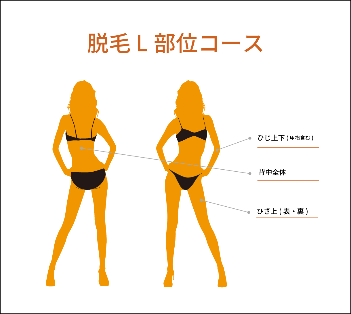 脱毛 Lコース対象箇所